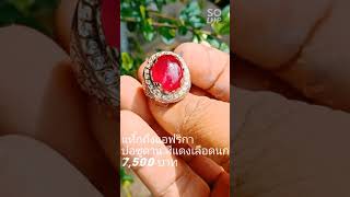 ทับทิมแอฟริกาซูดานแดงเลือดนก 7,500 บาท