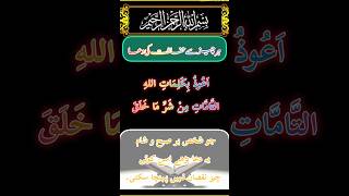 all Islamic knowledge||Islamic tips|surah mulk channel|#viralvideo #goviral #quran #qmktvchannel