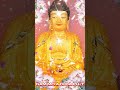 niệm phật một câu phước sanh vô lượng 557i từ vinh nammôadiđàphật buddha loiphatday adidaphat