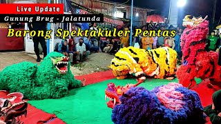 Barong spektakuler terbaru stp sekar turonggo putri