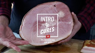 Introduction to Cures | Whole Muscle Meat \u0026 Ground | PS Seasoning