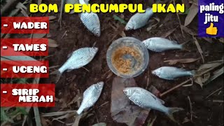 CARA MEMBUAT BOM PENGUMPUL IKAN WADER,DIJAMIN PADA NGUMPUL