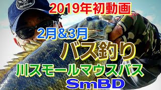 yasu 2月3月バス釣り/川スモールマウスバス/2019年3月/bassfishing