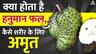 हनुमान फल के फायदे और नुक्सान | Soursop Fruit Benefits For Kidneys | #soursop Fruit in Hindi