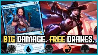 🔵🔴FREE Drakes And Fast Damage For QUICK Wins! | MTG Arena Standard Izzet Deck