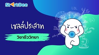 วิชาชีววิทยา ม.5 | เซลล์ประสาท