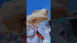 #mezmur #tewahedo #ethiopia #ethiopianorthodoxtewahedochurch #orthodox #shortvideo