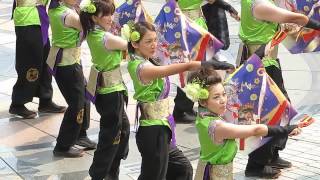 祭・WAIWAIよこはま（ハマこい2013・\