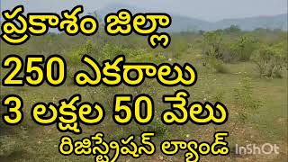 8885969825: ప్రకాశం జిల్లా 250 ఎకరాలు ఎకరం 3 లక్షల 50 వేలు