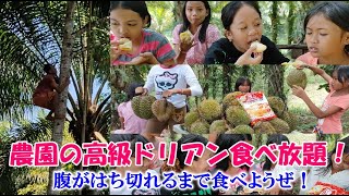 農園の秘密ドリアン畑でドリアン大量ゲット！食べまくれ！【フィリピンの山奥でねこと自給自足生活】猫なし