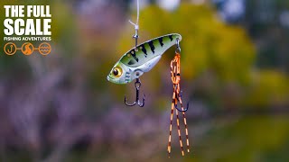 Is This The BEST Golden Perch Lure? | The Full Scale