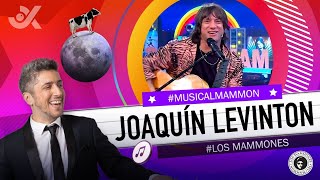 IMPERDIBLE Musical de Joaquín Levinton y Jey Mammón - #LosMammones