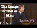 The Image of God in Man: Dust to Glory   - Ministério R.C. Sproul