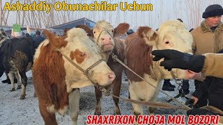 Bugun Daxshat Boldi Shaxrixon Xoldanbek CHOJA Mol Bozori