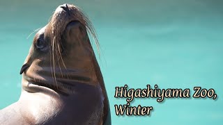 東山動物園・冬🇯🇵Higashiyama Zoo, winter