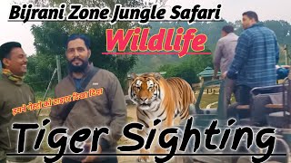 Bijrani Zone Jungle Safari | Tiger Sighting #wildlife #animals #tiger #jimcorbett