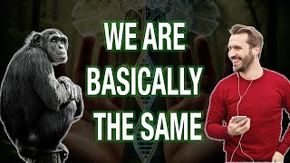 Humans and Chimps: Basically the Same, Except We Have Wi-Fi and Existential Dread