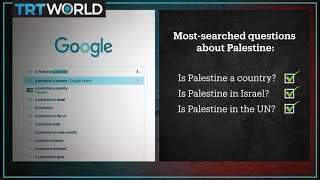 Google’s top 3 questions about Palestine answered