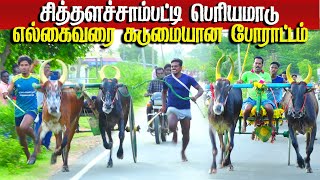 சித்தளிச்சப்பட்டி பெரியமாடு பந்தயம் 31.08.2024