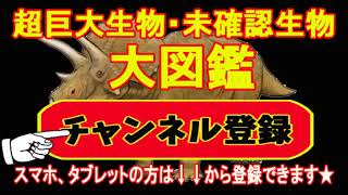 【ハイブリッド生物！？】～チベットスナギツネ～チベット高原に生息する人面キツネ！？【仰天】世界の衝撃生物大図鑑