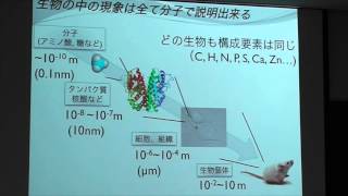 化学と生物学をつなぐ「光る分子」の体験セミナー（第261回やさしい科学技術セミナー）