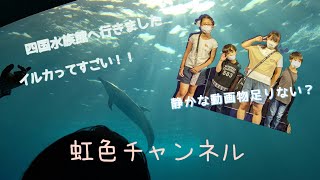 虹色チャンネル 四国水族館へ行きました！初めて静かな動画です