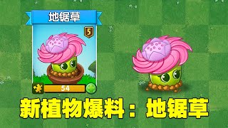 PVZ：地锯草即将上线！攻击方式：电锯惊魂即视感！【庄先森解说】