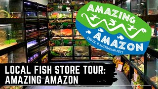 Local Fish Store Tour - Amazing Amazon Glen Waverley