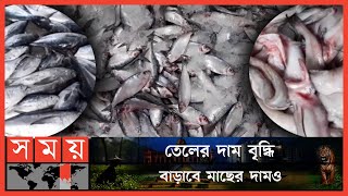 এবার কাঁদবে কি মাছের বাজার? | Fish Market | Fuel Price | Barguna News | Business News | Somoy TV