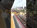 阪和線 鳳駅を通過する 特急くろしお号 283系オーシャンアロー編成 【ゆる鉄ショート動画 4k hdr】