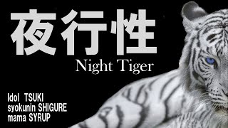 「2月17日」「闇の中でも自由自在」Night Tigerライブ配信