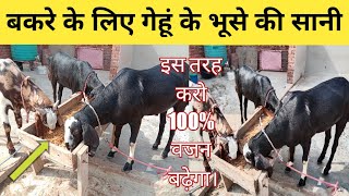 बकरो के लिए भूसे की सानी इस तरह करो 100% वजन बढ़ेगा l Gheuo ke bhuse ki shanni l Fayeem vlogs