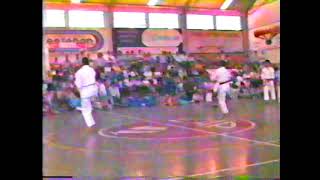 sudamericano 1989