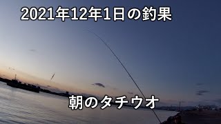 [Breaking news of fishing results in Miyazaki, Japan] December 1, 2021