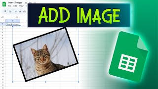 How To Easily Insert An Image Into Google Sheets Cell