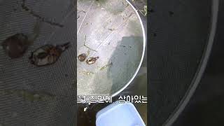 습지에서 발견한..   멸종위기종