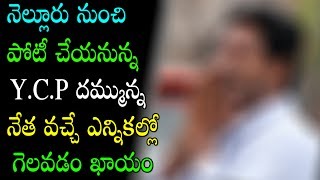 నెల్లూరు నుంచి పోటీ చేయనున్నYCP దమ్మున్న నేత వచ్చే ఎన్నికల్లో గెలవడం ఖాయం? || Political Punch