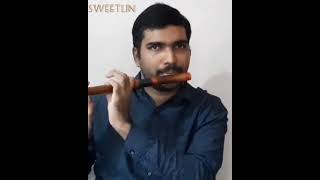 Kannan Vanthu Padukindran Part 2 | Rettai Vaal Kuruvi | Flute Cover By Sweetlin SG #Shorts
