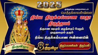 8ஆம் திருவிழா | திருப்பயணிகள் திருப்பலி | 2025| Morning Mass | Madha tv | Mass Live | Today's Mass