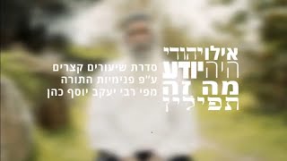 אילו יהודי היה יודע מה זה - תפילין  | הרב יעקב יוסף כהן