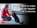 How to Make Your Cat Happier — in 3 Minutes | Nicky Trevorrow | TED