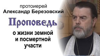 Проповедь о жизни земной и посмертной участи (2025.02.21). Протоиерей Александр Березовский