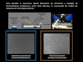 biofisica molecular de membranas