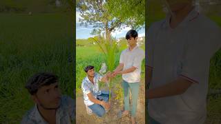 🌿Farming #shorts mera insta 🥰Kapilop07 #youtubeshorts #new #tending #instagram #trending #farming