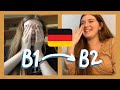 i spoke german every day for 2 months. here's what i learned. (timelapse)