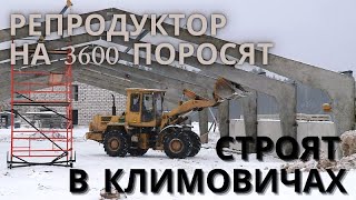 Репродуктор на 3600 поросят строят в Климовичском районе