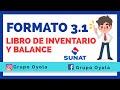 FORMATO 3.1 LIBRO DE INVENTARIO Y BALANCE / SUNAT