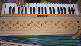 Nagi two reed verticle harmonium unboxing.