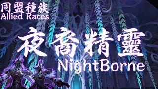 【魔獸世界】 同盟種族：夜裔精靈 /  Allied Races: Nightborne