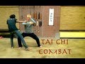 Top 10 TAI CHI Combat Fighting Moves - Tai Ji Quan Combat